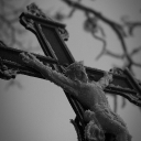 SONY DSC