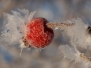 20101230_zima
