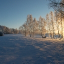 dsc05244_1