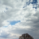 SONY DSC