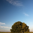 SONY DSC
