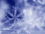 20110122_vlocka