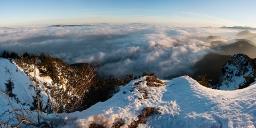 Stitched Panorama