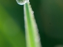 20110521_sumavajaro