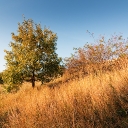 dsc07792