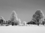 20120211_zima