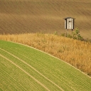 ximg_3085