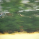 ximg_0542
